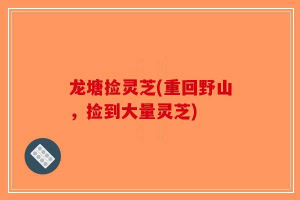 龙塘捡灵芝(重回野山,捡到大量灵芝)-第1张图片-破壁灵芝孢子粉研究指南 龙塘捡灵芝(重回野山,捡到大量灵芝)-第1张图片-破壁灵芝孢子粉研究指南