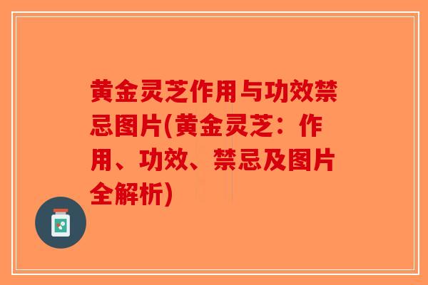 黄金灵芝作用与功效禁忌图片(黄金灵芝:作用、功效、禁忌及图片全解析)-第1张图片-破壁灵芝孢子粉研究指南 黄金灵芝作用与功效禁忌图片(黄金灵芝:作用、功效、禁忌及图片全解析)-第1张图片-破壁灵芝孢子粉研究指南