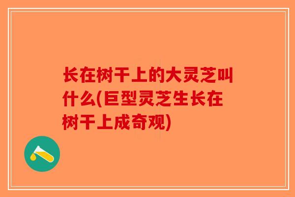长在树干上的大灵芝叫什么(巨型灵芝生长在树干上成奇观)-第1张图片-破壁灵芝孢子粉研究指南