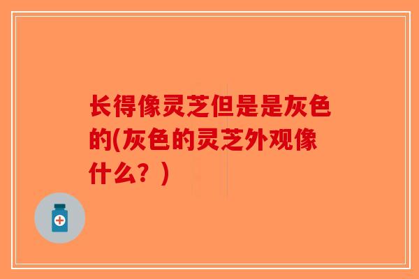 长得像灵芝但是是灰色的(灰色的灵芝外观像什么?)-第1张图片-破壁灵芝孢子粉研究指南 长得像灵芝但是是灰色的(灰色的灵芝外观像什么?)-第1张图片-破壁灵芝孢子粉研究指南