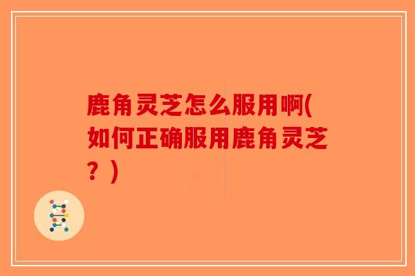 鹿角灵芝怎么服用啊(如何正确服用鹿角灵芝？)-第1张图片-破壁灵芝孢子粉研究指南