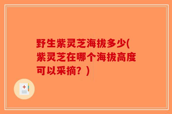 野生紫灵芝海拔多少(紫灵芝在哪个海拔高度可以采摘?)-第1张图片-破壁灵芝孢子粉研究指南 野生紫灵芝海拔多少(紫灵芝在哪个海拔高度可以采摘?)-第1张图片-破壁灵芝孢子粉研究指南