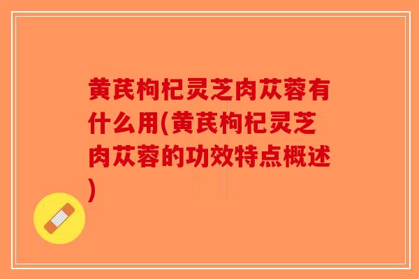 黄芪枸杞灵芝肉苁蓉有什么用(黄芪枸杞灵芝肉苁蓉的功效特点概述)-第1张图片-破壁灵芝孢子粉研究指南 黄芪枸杞灵芝肉苁蓉有什么用(黄芪枸杞灵芝肉苁蓉的功效特点概述)-第1张图片-破壁灵芝孢子粉研究指南