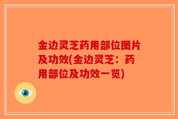 金边灵芝药用部位图片及功效(金边灵芝:药用部位及功效一览)-第1张图片-破壁灵芝孢子粉研究指南 金边灵芝药用部位图片及功效(金边灵芝:药用部位及功效一览)-第1张图片-破壁灵芝孢子粉研究指南