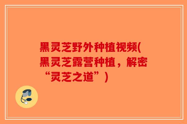 黑灵芝野外种植视频(黑灵芝露营种植，解密“灵芝之道”)-第1张图片-破壁灵芝孢子粉研究指南