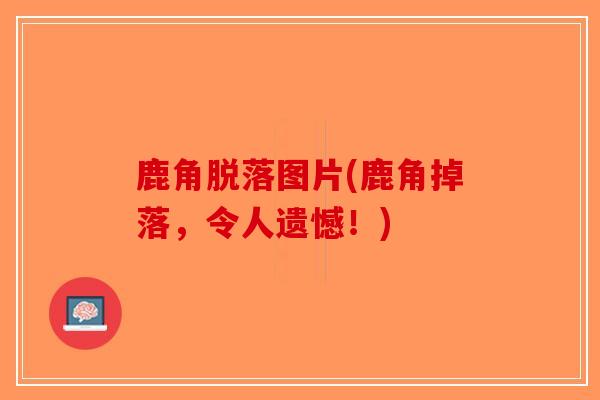 鹿角脱落图片(鹿角掉落,令人遗憾!)-第1张图片-破壁灵芝孢子粉研究指南 鹿角脱落图片(鹿角掉落,令人遗憾!)-第1张图片-破壁灵芝孢子粉研究指南