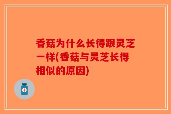 香菇为什么长得跟灵芝一样(香菇与灵芝长得相似的原因)-第1张图片-破壁灵芝孢子粉研究指南 香菇为什么长得跟灵芝一样(香菇与灵芝长得相似的原因)-第1张图片-破壁灵芝孢子粉研究指南