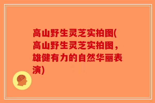 高山野生灵芝实拍图(高山野生灵芝实拍图,雄健有力的自然华丽表演)-第1张图片-破壁灵芝孢子粉研究指南 高山野生灵芝实拍图(高山野生灵芝实拍图,雄健有力的自然华丽表演)-第1张图片-破壁灵芝孢子粉研究指南