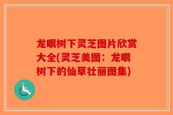 龙眼树下灵芝图片欣赏大全(灵芝美图:龙眼树下的仙草壮丽图集)-第1张图片-破壁灵芝孢子粉研究指南 龙眼树下灵芝图片欣赏大全(灵芝美图:龙眼树下的仙草壮丽图集)-第1张图片-破壁灵芝孢子粉研究指南