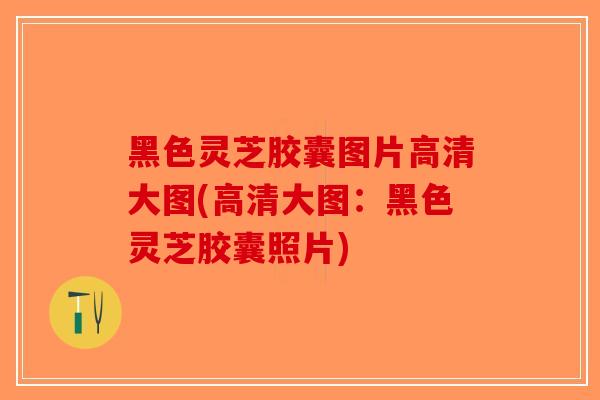 黑色灵芝胶囊图片高清大图(高清大图：黑色灵芝胶囊照片)-第1张图片-破壁灵芝孢子粉研究指南