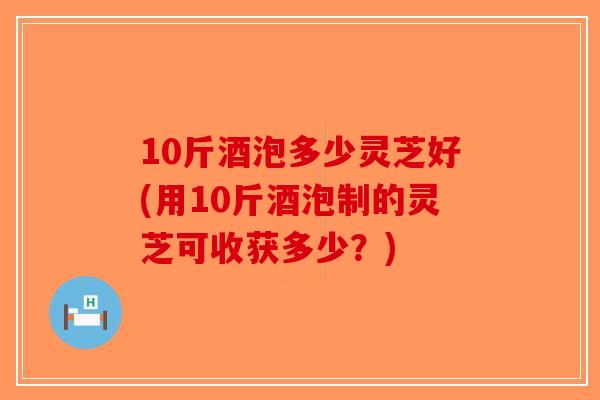 10斤酒泡多少灵芝好(用10斤酒泡制的灵芝可收获多少?)-第1张图片-破壁灵芝孢子粉研究指南 10斤酒泡多少灵芝好(用10斤酒泡制的灵芝可收获多少?)-第1张图片-破壁灵芝孢子粉研究指南