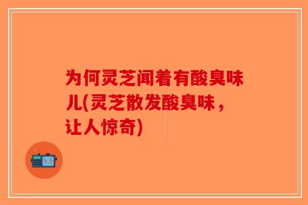 为何灵芝闻着有酸臭味儿(灵芝散发酸臭味,让人惊奇)-第1张图片-破壁灵芝孢子粉研究指南 为何灵芝闻着有酸臭味儿(灵芝散发酸臭味,让人惊奇)-第1张图片-破壁灵芝孢子粉研究指南