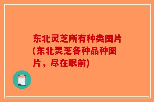 东北灵芝所有种类图片(东北灵芝各种品种图片，尽在眼前)-第1张图片-破壁灵芝孢子粉研究指南