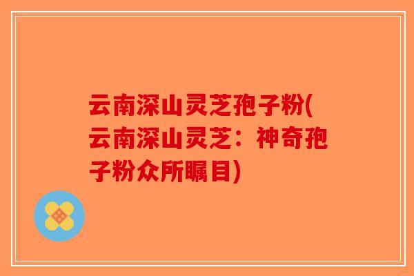 云南深山灵芝孢子粉(云南深山灵芝:神奇孢子粉众所瞩目)-第1张图片-破壁灵芝孢子粉研究指南 云南深山灵芝孢子粉(云南深山灵芝:神奇孢子粉众所瞩目)-第1张图片-破壁灵芝孢子粉研究指南