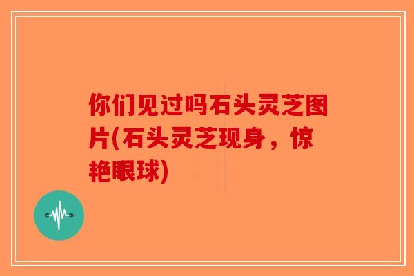你们见过吗石头灵芝图片(石头灵芝现身,惊艳眼球)-第1张图片-破壁灵芝孢子粉研究指南 你们见过吗石头灵芝图片(石头灵芝现身,惊艳眼球)-第1张图片-破壁灵芝孢子粉研究指南