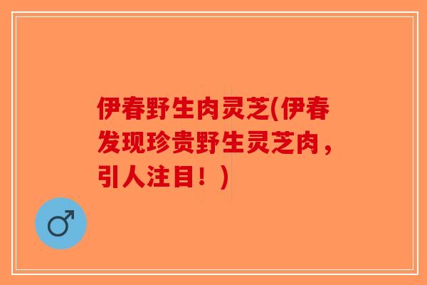 伊春野生肉灵芝(伊春发现珍贵野生灵芝肉，引人注目！)-第1张图片-破壁灵芝孢子粉研究指南