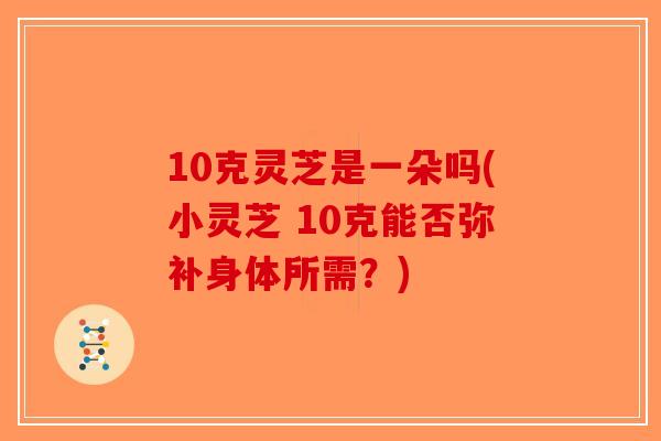 10克灵芝是一朵吗(小灵芝 10克能否弥补身体所需?)-第1张图片-破壁灵芝孢子粉研究指南 10克灵芝是一朵吗(小灵芝 10克能否弥补身体所需?)-第1张图片-破壁灵芝孢子粉研究指南