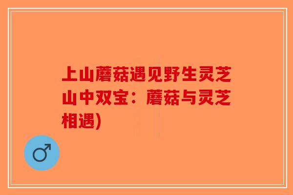 上山蘑菇遇见野生灵芝山中双宝:蘑菇与灵芝相遇)-第1张图片-破壁灵芝孢子粉研究指南 上山蘑菇遇见野生灵芝山中双宝:蘑菇与灵芝相遇)-第1张图片-破壁灵芝孢子粉研究指南