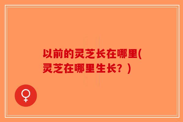 以前的灵芝长在哪里(灵芝在哪里生长？)-第1张图片-破壁灵芝孢子粉研究指南