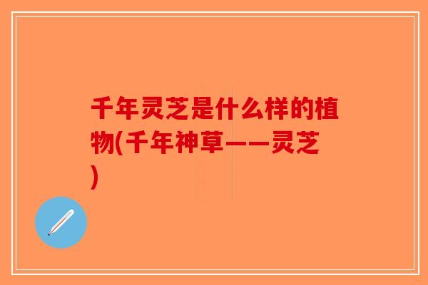千年灵芝是什么样的植物(千年神草——灵芝)-第1张图片-破壁灵芝孢子粉研究指南 千年灵芝是什么样的植物(千年神草——灵芝)-第1张图片-破壁灵芝孢子粉研究指南