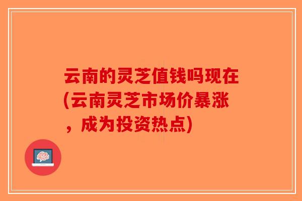 云南的灵芝值钱吗现在(云南灵芝市场价暴涨,成为投资热点)-第1张图片-破壁灵芝孢子粉研究指南 云南的灵芝值钱吗现在(云南灵芝市场价暴涨,成为投资热点)-第1张图片-破壁灵芝孢子粉研究指南