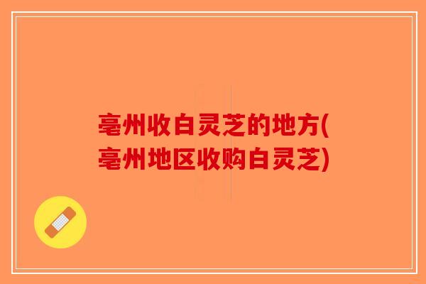 亳州收白灵芝的地方(亳州地区收购白灵芝)-第1张图片-破壁灵芝孢子粉研究指南 亳州收白灵芝的地方(亳州地区收购白灵芝)-第1张图片-破壁灵芝孢子粉研究指南