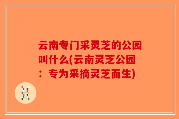 云南专门采灵芝的公园叫什么(云南灵芝公园:专为采摘灵芝而生)-第1张图片-破壁灵芝孢子粉研究指南 云南专门采灵芝的公园叫什么(云南灵芝公园:专为采摘灵芝而生)-第1张图片-破壁灵芝孢子粉研究指南