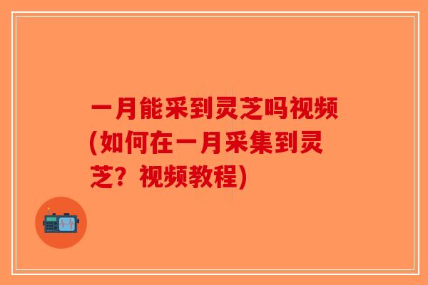 一月能采到灵芝吗视频(如何在一月采集到灵芝?视频教程)-第1张图片-破壁灵芝孢子粉研究指南 一月能采到灵芝吗视频(如何在一月采集到灵芝?视频教程)-第1张图片-破壁灵芝孢子粉研究指南