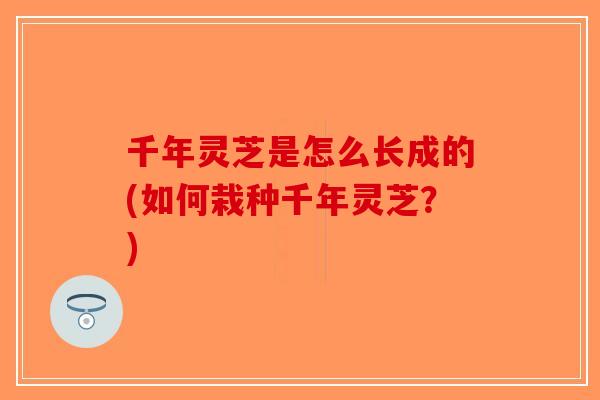 千年灵芝是怎么长成的(如何栽种千年灵芝?)-第1张图片-破壁灵芝孢子粉研究指南 千年灵芝是怎么长成的(如何栽种千年灵芝?)-第1张图片-破壁灵芝孢子粉研究指南