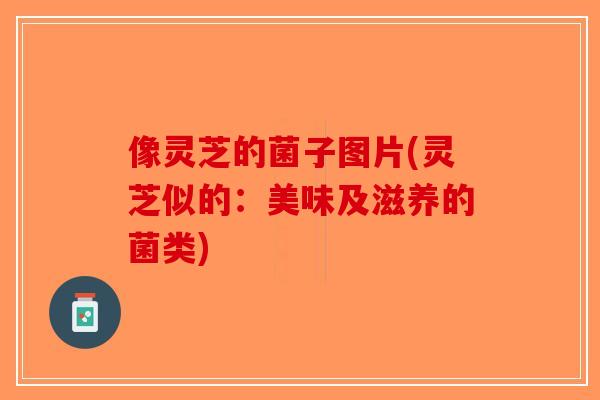 像灵芝的菌子图片(灵芝似的:美味及滋养的菌类)-第1张图片-破壁灵芝孢子粉研究指南 像灵芝的菌子图片(灵芝似的:美味及滋养的菌类)-第1张图片-破壁灵芝孢子粉研究指南
