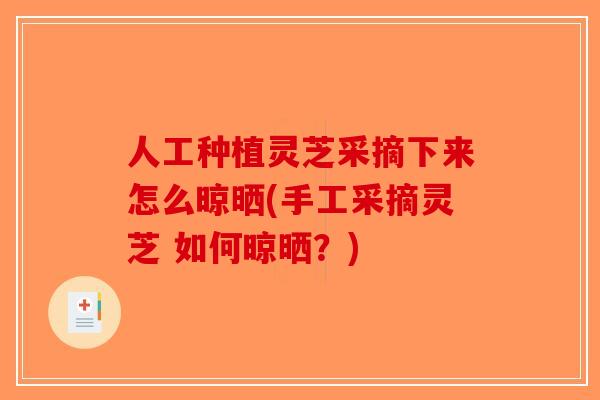 人工种植灵芝采摘下来怎么晾晒(手工采摘灵芝 如何晾晒?)-第1张图片-破壁灵芝孢子粉研究指南 人工种植灵芝采摘下来怎么晾晒(手工采摘灵芝 如何晾晒?)-第1张图片-破壁灵芝孢子粉研究指南