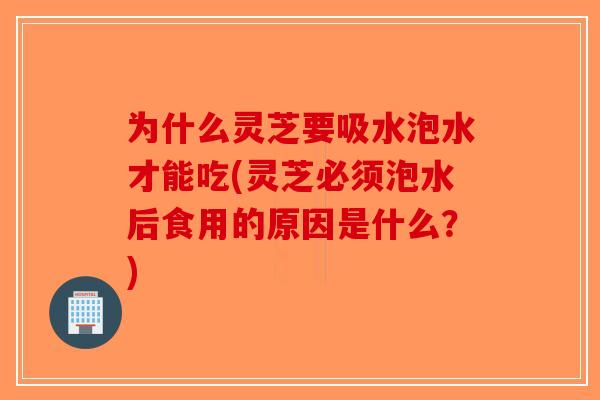 为什么灵芝要吸水泡水才能吃(灵芝必须泡水后食用的原因是什么?)-第1张图片-破壁灵芝孢子粉研究指南 为什么灵芝要吸水泡水才能吃(灵芝必须泡水后食用的原因是什么?)-第1张图片-破壁灵芝孢子粉研究指南