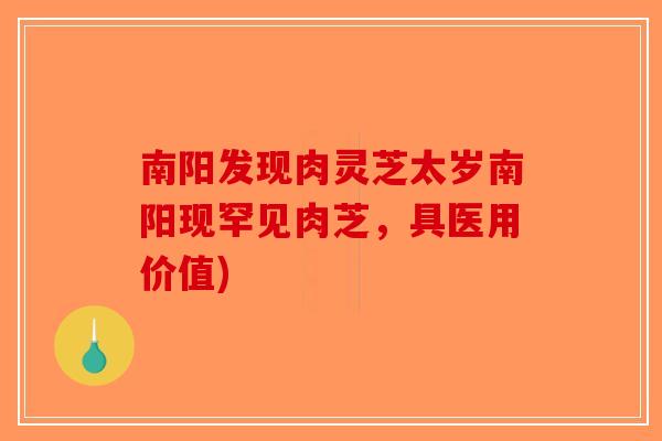 南阳发现肉灵芝太岁南阳现罕见肉芝,具医用价值)-第1张图片-破壁灵芝孢子粉研究指南 南阳发现肉灵芝太岁南阳现罕见肉芝,具医用价值)-第1张图片-破壁灵芝孢子粉研究指南