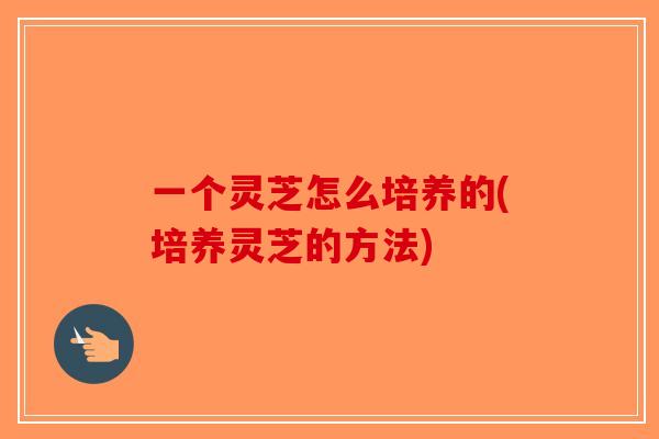 一个灵芝怎么培养的(培养灵芝的方法)-第1张图片-破壁灵芝孢子粉研究指南