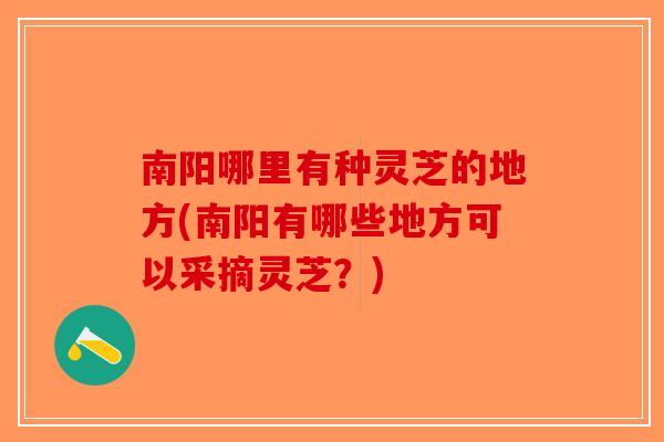 南阳哪里有种灵芝的地方(南阳有哪些地方可以采摘灵芝?)-第1张图片-破壁灵芝孢子粉研究指南 南阳哪里有种灵芝的地方(南阳有哪些地方可以采摘灵芝?)-第1张图片-破壁灵芝孢子粉研究指南