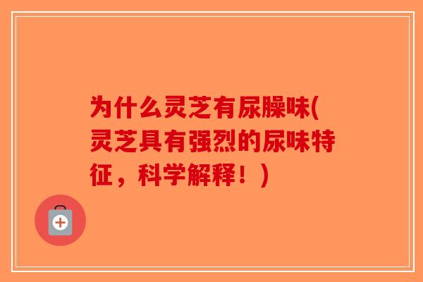 为什么灵芝有尿臊味(灵芝具有强烈的尿味特征,科学解释!)-第1张图片-破壁灵芝孢子粉研究指南 为什么灵芝有尿臊味(灵芝具有强烈的尿味特征,科学解释!)-第1张图片-破壁灵芝孢子粉研究指南
