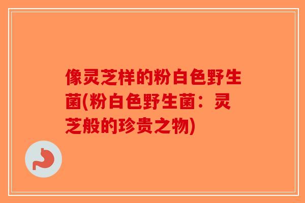 像灵芝样的粉白色野生菌(粉白色野生菌：灵芝般的珍贵之物)-第1张图片-破壁灵芝孢子粉研究指南