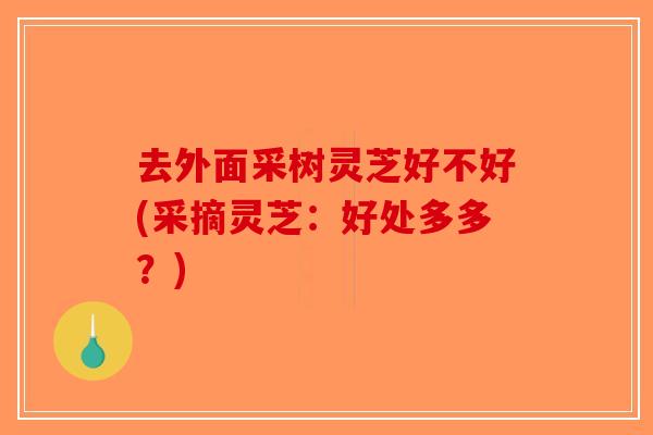 去外面采树灵芝好不好(采摘灵芝:好处多多?)-第1张图片-破壁灵芝孢子粉研究指南 去外面采树灵芝好不好(采摘灵芝:好处多多?)-第1张图片-破壁灵芝孢子粉研究指南