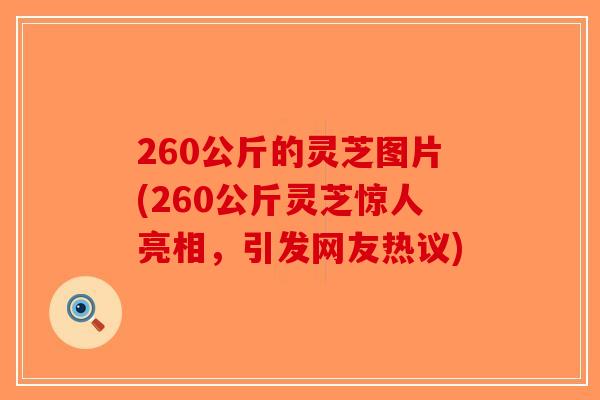 260公斤的灵芝图片(260公斤灵芝惊人亮相，引发网友热议)-第1张图片-破壁灵芝孢子粉研究指南