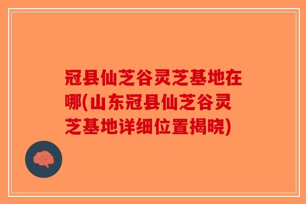 冠县仙芝谷灵芝基地在哪(山东冠县仙芝谷灵芝基地详细位置揭晓)-第1张图片-破壁灵芝孢子粉研究指南