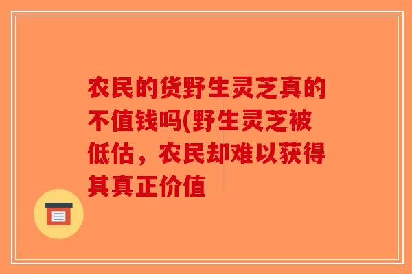 农民的货野生灵芝真的不值钱吗(野生灵芝被低估，农民却难以获得其真正价值-第1张图片-破壁灵芝孢子粉研究指南