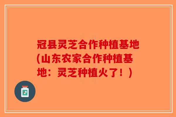 冠县灵芝合作种植基地(山东农家合作种植基地：灵芝种植火了！)-第1张图片-破壁灵芝孢子粉研究指南