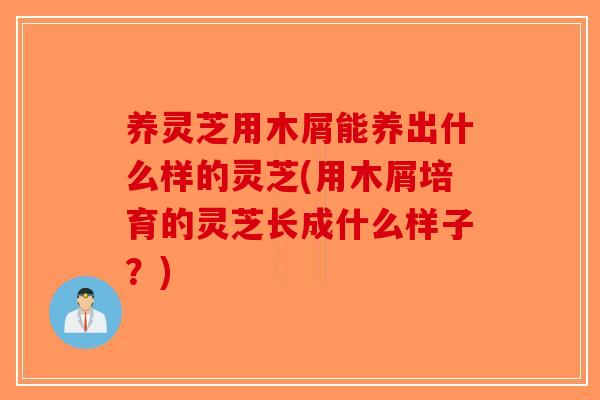 养灵芝用木屑能养出什么样的灵芝(用木屑培育的灵芝长成什么样子？)-第1张图片-破壁灵芝孢子粉研究指南