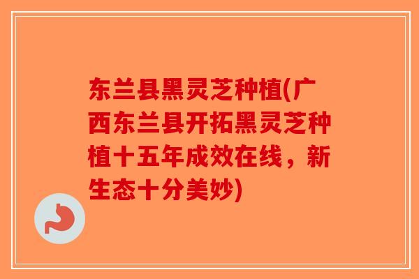 东兰县黑灵芝种植(广西东兰县开拓黑灵芝种植十五年成效在线，新生态十分美妙)-第1张图片-破壁灵芝孢子粉研究指南