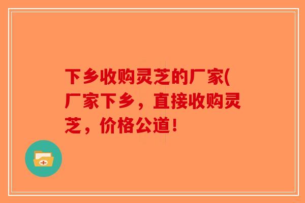 下乡收购灵芝的厂家(厂家下乡，直接收购灵芝，价格公道！-第1张图片-破壁灵芝孢子粉研究指南