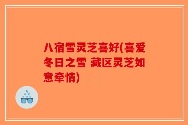 八宿雪灵芝喜好(喜爱冬日之雪 藏区灵芝如意牵情)-第1张图片-破壁灵芝孢子粉研究指南