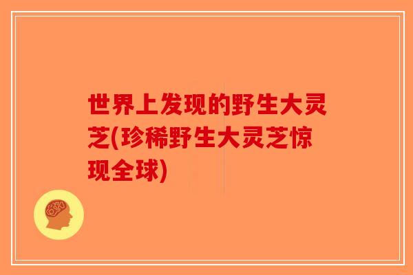 世界上发现的野生大灵芝(珍稀野生大灵芝惊现全球)-第1张图片-破壁灵芝孢子粉研究指南 世界上发现的野生大灵芝(珍稀野生大灵芝惊现全球)-第1张图片-破壁灵芝孢子粉研究指南