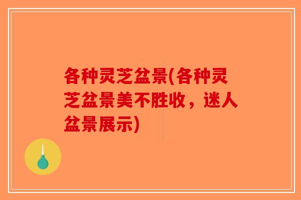 各种灵芝盆景(各种灵芝盆景美不胜收，迷人盆景展示)-第1张图片-破壁灵芝孢子粉研究指南