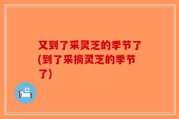 又到了采灵芝的季节了(到了采摘灵芝的季节了)-第1张图片-破壁灵芝孢子粉研究指南 又到了采灵芝的季节了(到了采摘灵芝的季节了)-第1张图片-破壁灵芝孢子粉研究指南