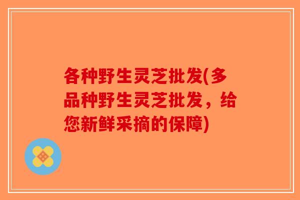 各种野生灵芝批发(多品种野生灵芝批发,给您新鲜采摘的保障)-第1张图片-破壁灵芝孢子粉研究指南 各种野生灵芝批发(多品种野生灵芝批发,给您新鲜采摘的保障)-第1张图片-破壁灵芝孢子粉研究指南